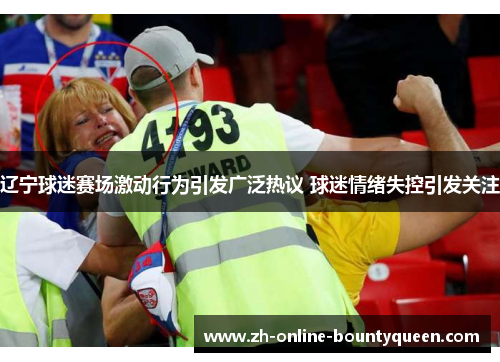 辽宁球迷赛场激动行为引发广泛热议 球迷情绪失控引发关注